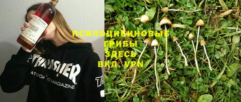 Псилоцибиновые грибы Magic Shrooms  продажа наркотиков  Горбатов 